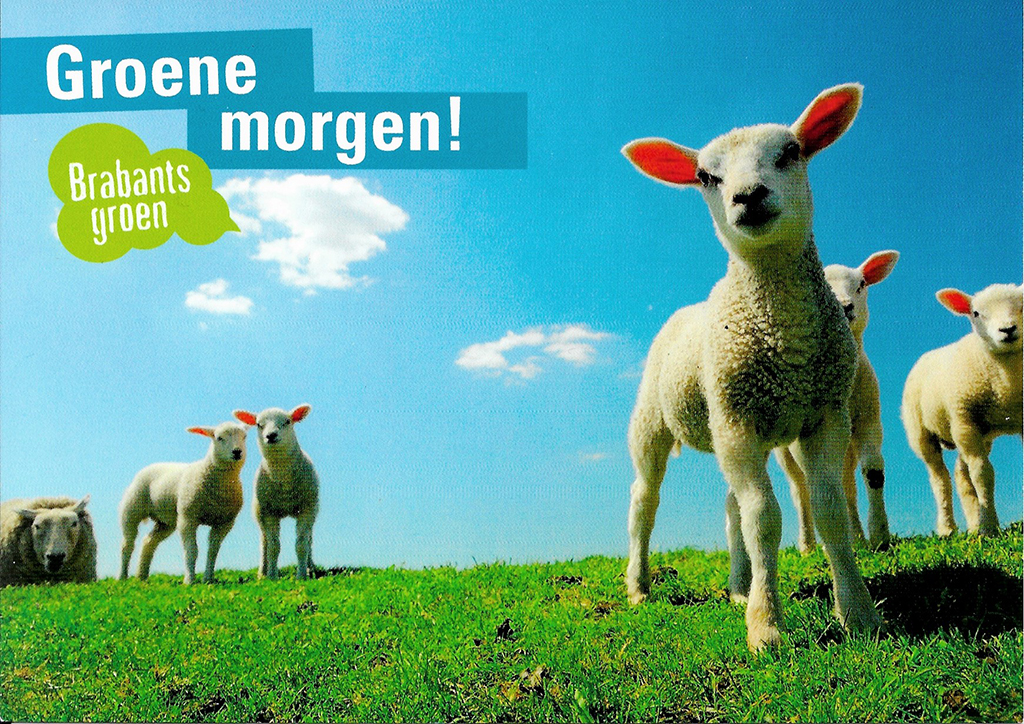 Campagne Brabants Groen